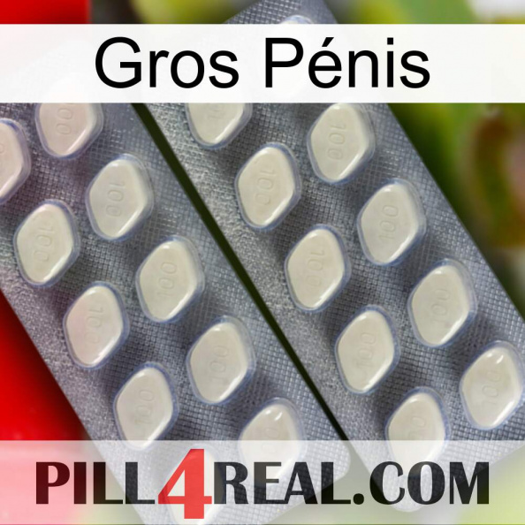 Gros Pénis 07